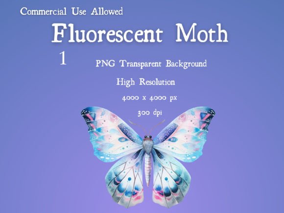 Download Moth Fluorescent Pink Purple Blue PNG - Fluorescent Collection